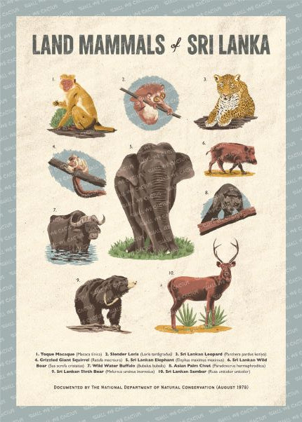 Land Mammals of Sri Lanka Poster