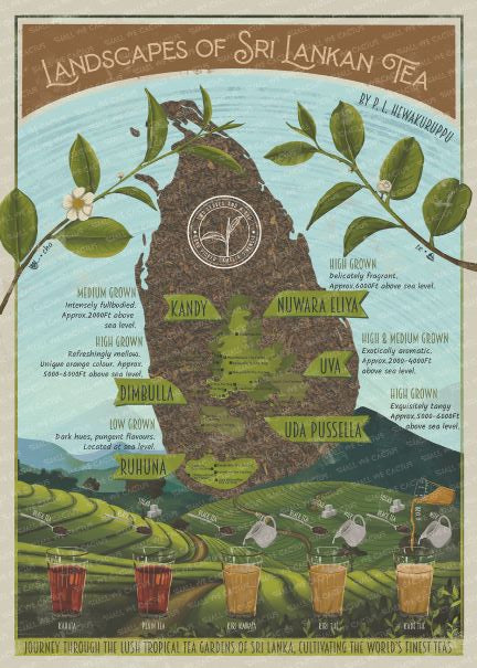 Tea Map Poster – shallwecactus